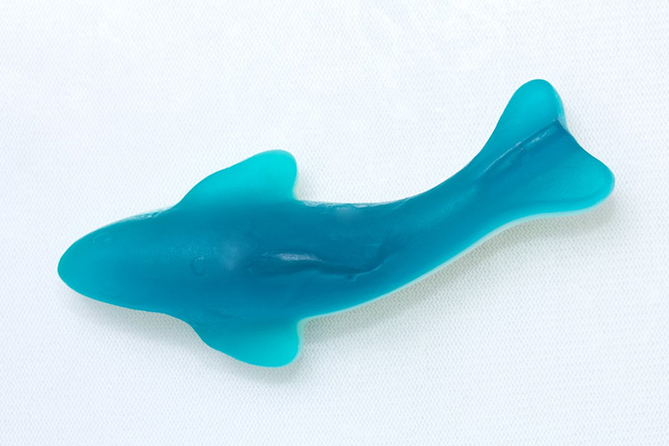 Gummy Sharks