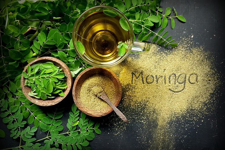 Moringa Packaging