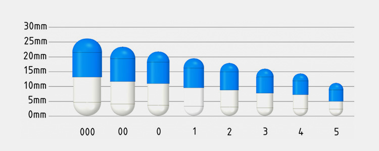 Capsule Size Chart