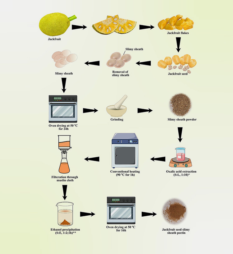 Gelatin-8