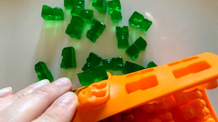 Gummy Molds-1