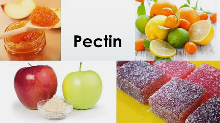 PECTIN