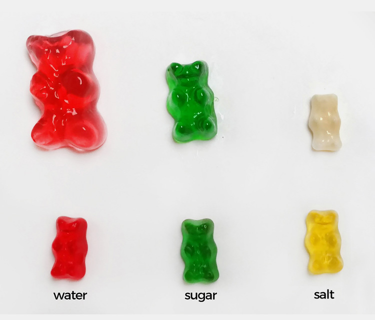 Sugar Water Dissolve Gummy Bear