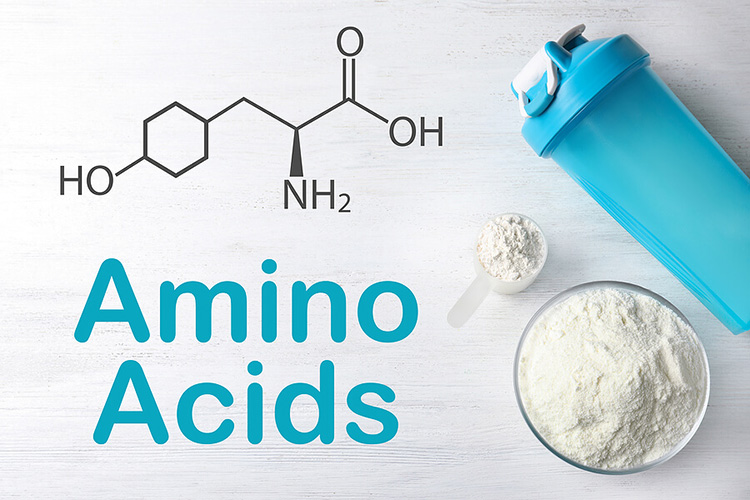 Amino Acids