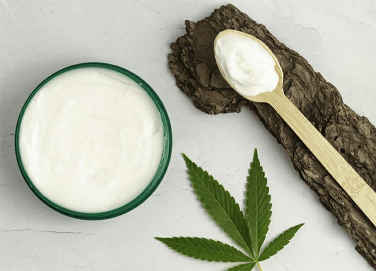 Cannabis Extract Infused Coconut Oil