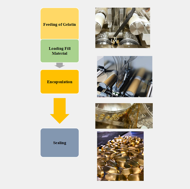 Working Of Capsule Pill Making Machine