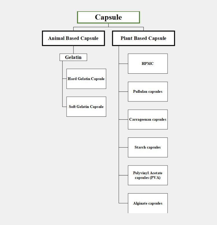 CAPSULES MADE OF-2