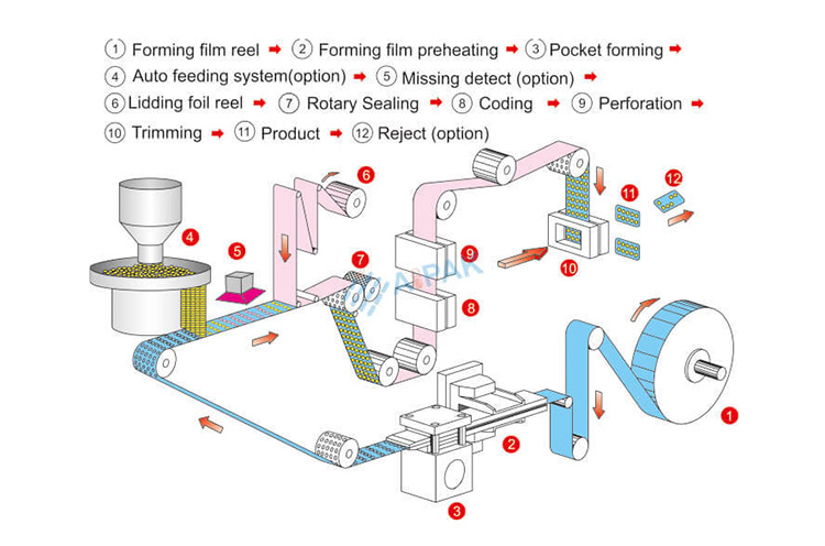Flow-charts-of-Automatic-Blister-Packaging-Machine