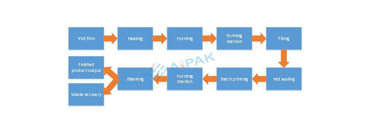 blister-packaging-process