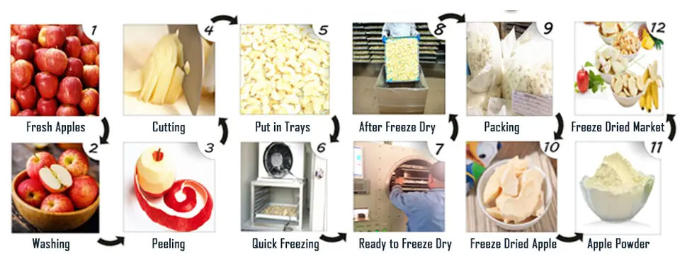 Industrial Fruit Food Vacuum Freeze Dryer-3