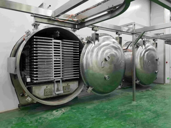 Food grade vacuum freeze dry machine Lyophilizer Machine Industrial Fruit Food Vacuum Freeze Dryer - Image 2