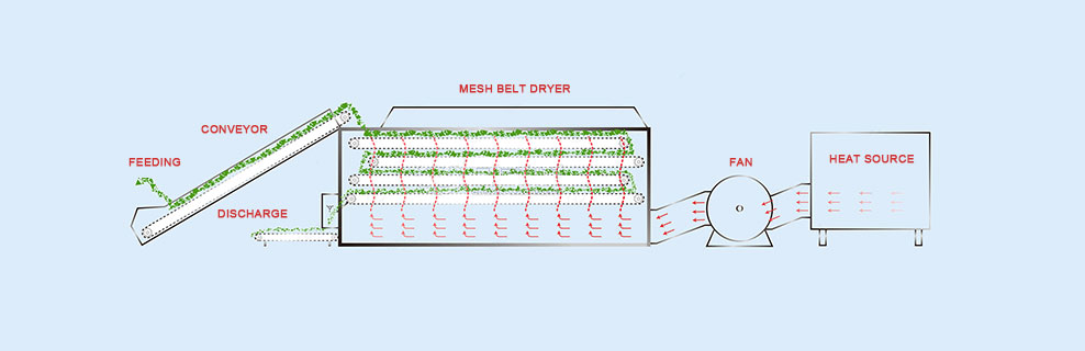 Mesh Belt Dryer Working Principle