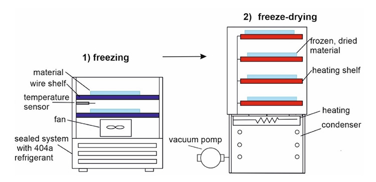 Preparation And Pre-Treatment