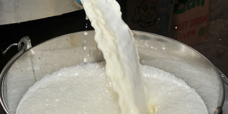 Reduced Evaporation Rate from Milk Powders