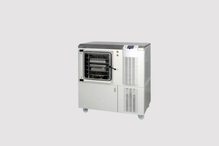 Small Mini Commercial Vacuum Freeze Dryer