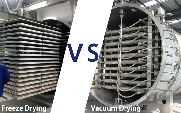 Vacuum Dryer And Freeze Dryer