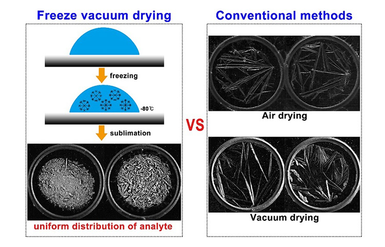 Vacuum Dryer and Air Dryer-1