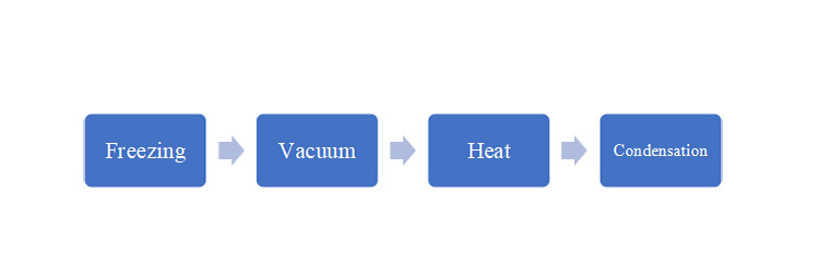 Vacuum Freeze Dryer Work-1