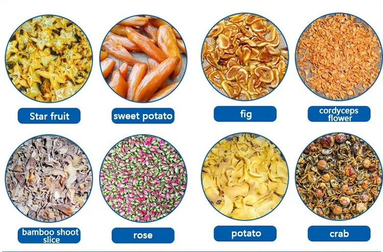 products-of-Hot-Air-Circulation-Oven_02