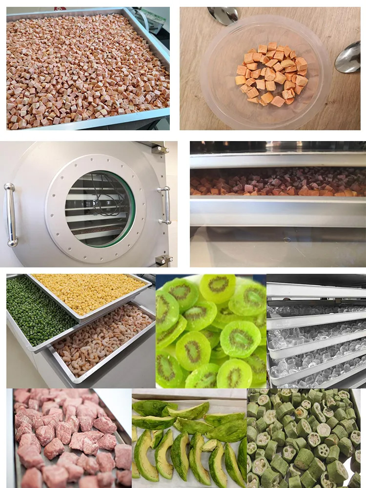 Vacuum Vegetable Freeze Dryer Machine