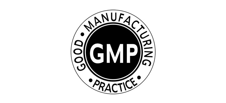 GMP Standards