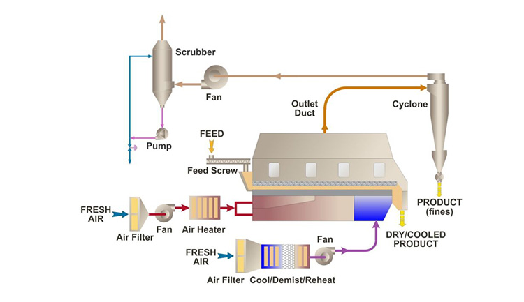 granules and grains dry up during this process