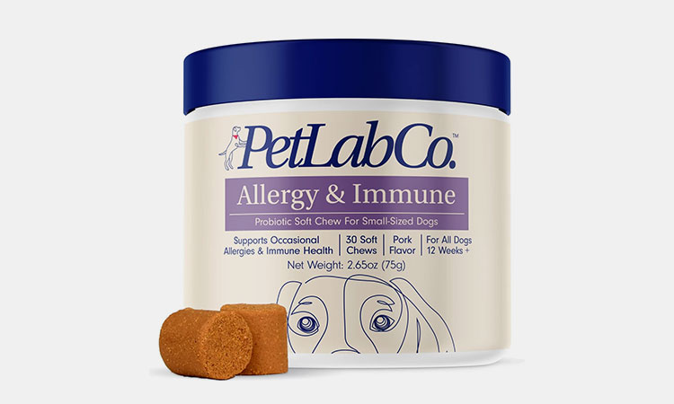 Allergy-&-Immune