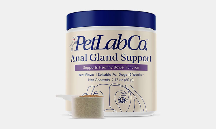 Anal-Gland-Support