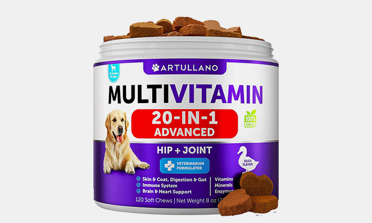 Dog-Multivitamin-Chewable-with-Glucosamine
