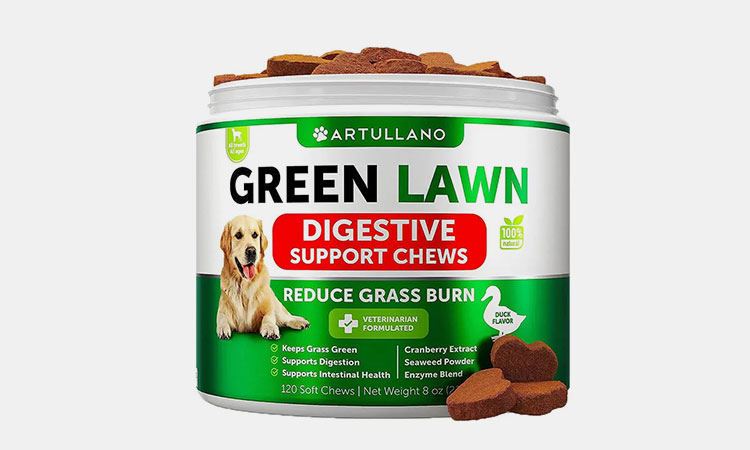 Green-Lawn-Chews