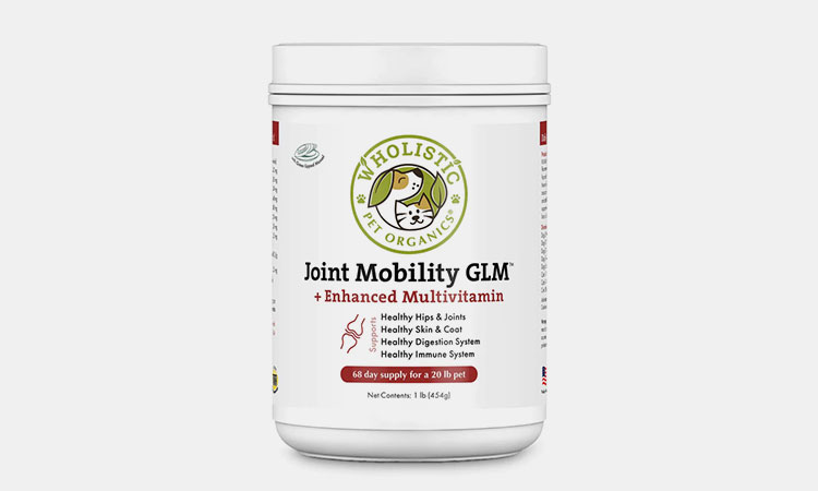 Joint-Mobility-GLM