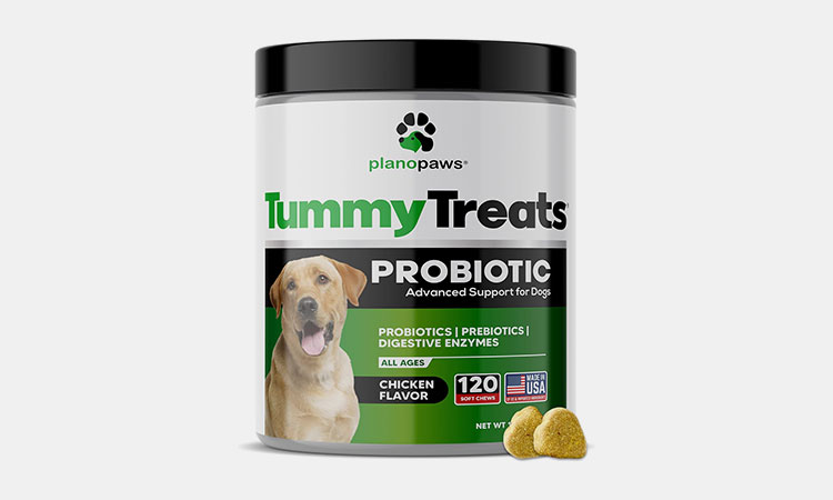Probiotics-for-Dogs-Digestive-Health