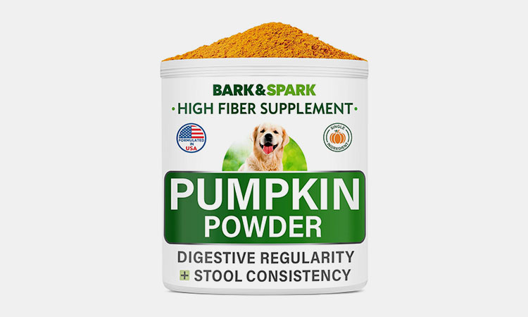 Pumpkin-for-Dogs