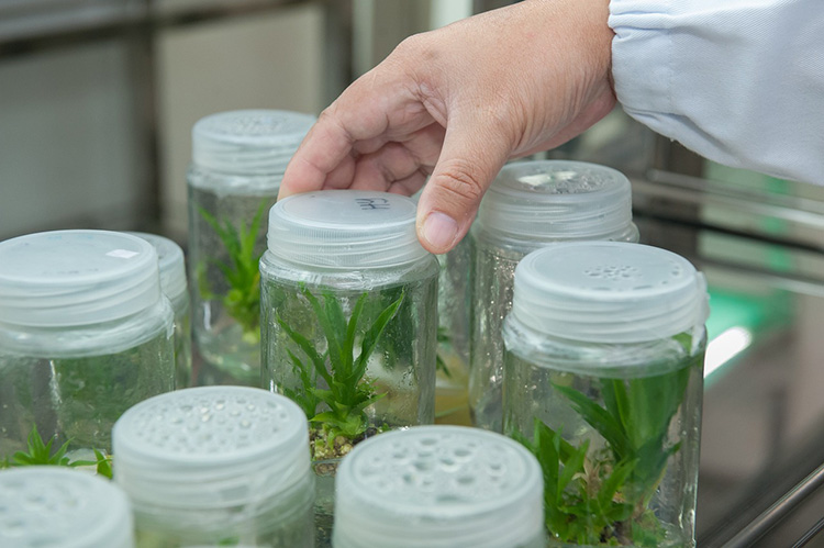 Collaboration with Biotechnology