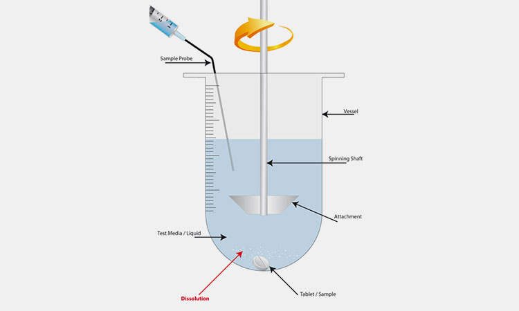 Dissolution-Test