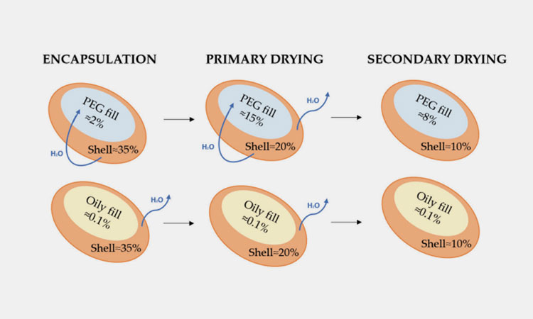 Drug-Moisture-Stability