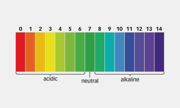 PH-Value