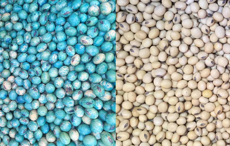 SEED PROTECTION