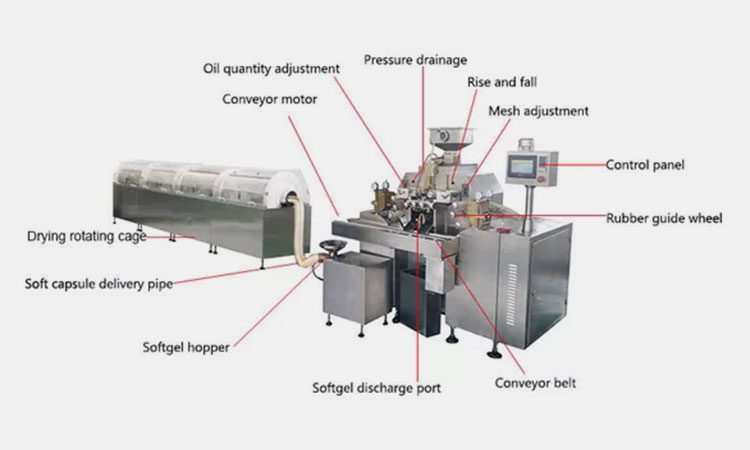 Softgel-Encapsulation-Machine