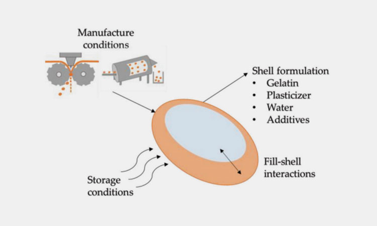 Softgel-Shell-Making