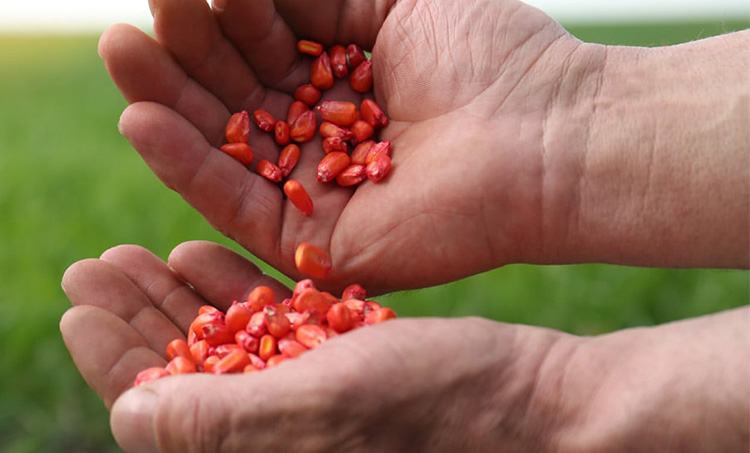 Sustainable Coating Solutions