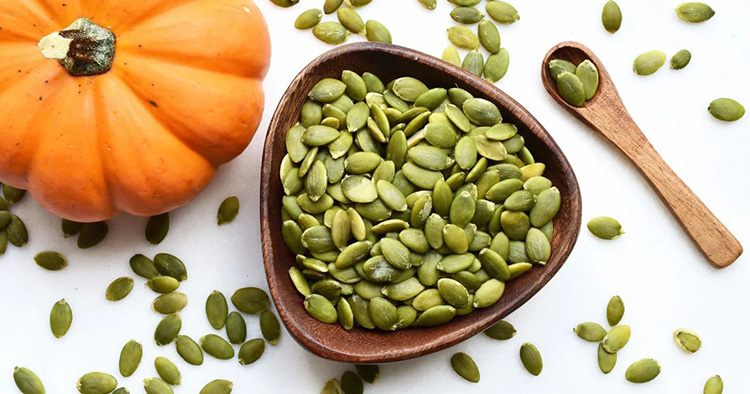 future prospects of seed coating machines