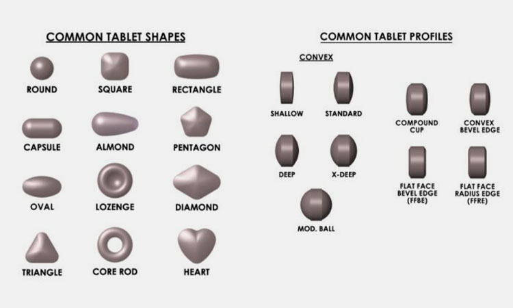 Common-Types-and-Shapes-of-Tablets
