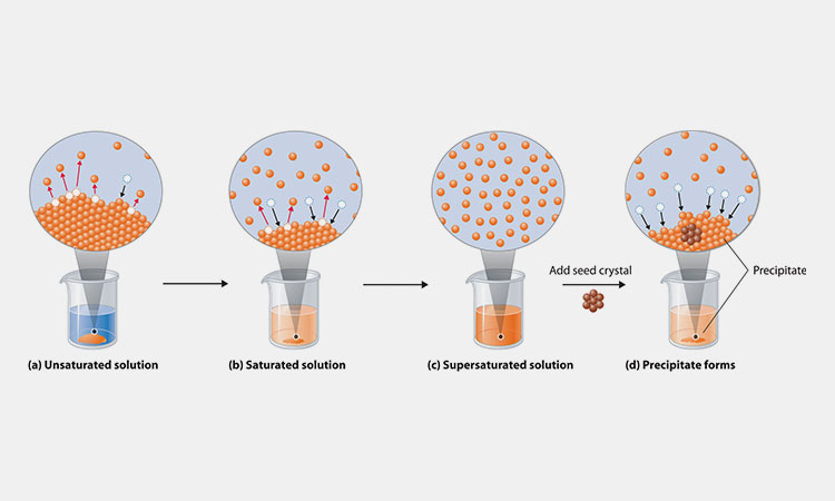 Effect-of-Molecular-Size-on-Solubility