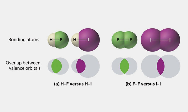 Effect-of-Polarity-on-Solubility