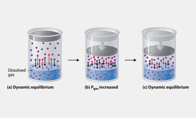 Effect-of-Pressure-on-Solubility