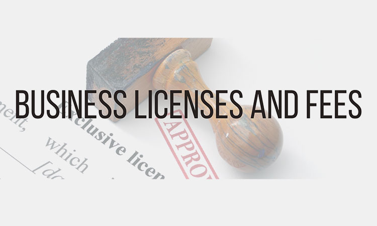 Legal-and-Licensing-Cost