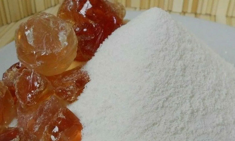 Gum Arabic Come From