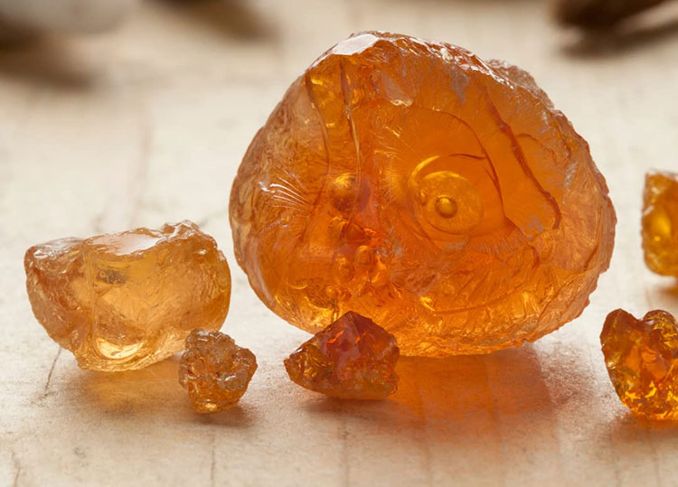 Gum Arabic Used