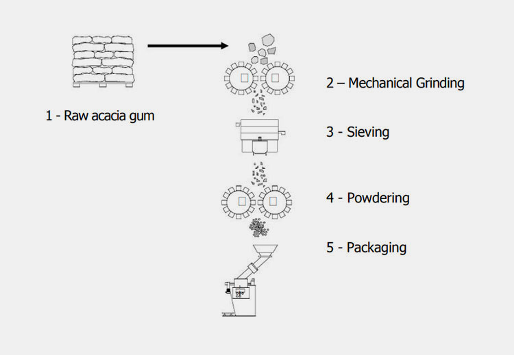 Make Gum Arabic Powder